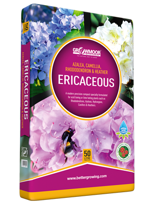 Ericaceous Compost