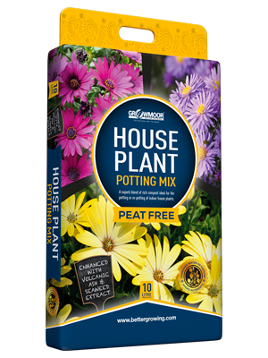 House Plant Peat Free