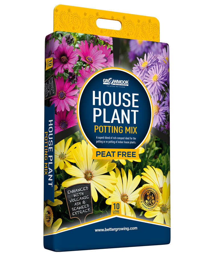 Peat Free House Plant Potting Mix Compost