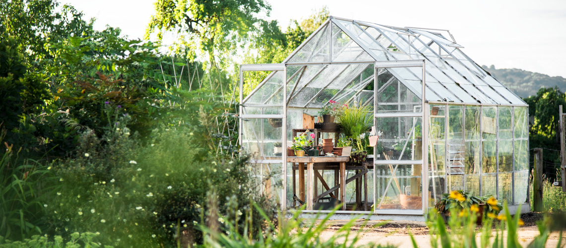 Greenhouse